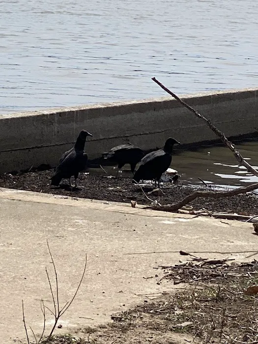 Twin Bridges Dock Picture 2