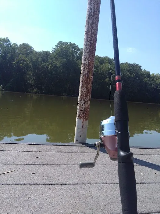 Twin Bridges Dock Picture 10