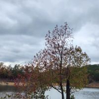 Holly Creek Campsite ico