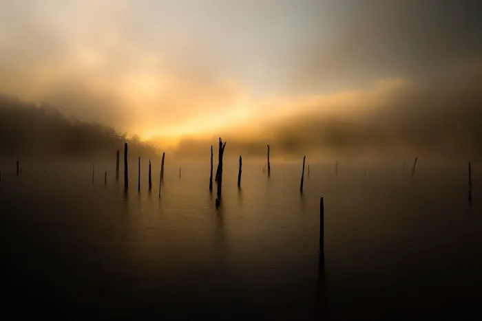 Holly Creek Campsite Picture 6