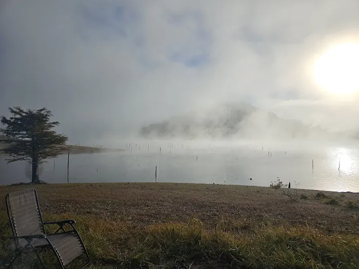 Holly Creek Campsite Picture 7