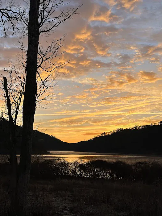 Holly Creek Campsite Picture 10