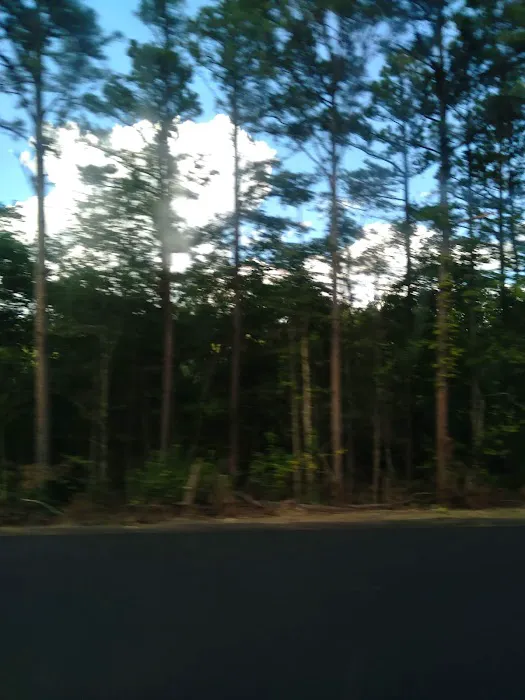 Kiamichi Lodge Picture 9
