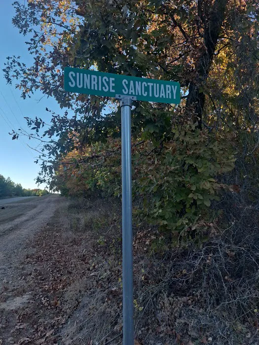 Sunrise Sancturary Picture 7