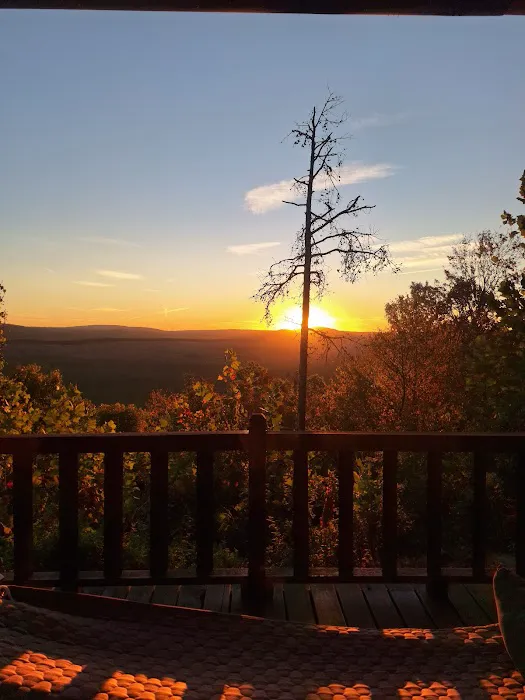 Sunrise Sancturary Picture 6