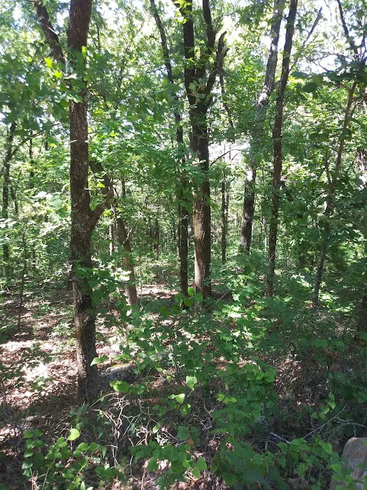 Winding Stair Campground Picture 5