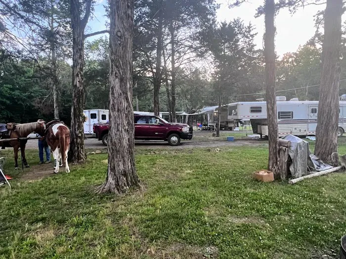 Half Ass Acres Picture 2