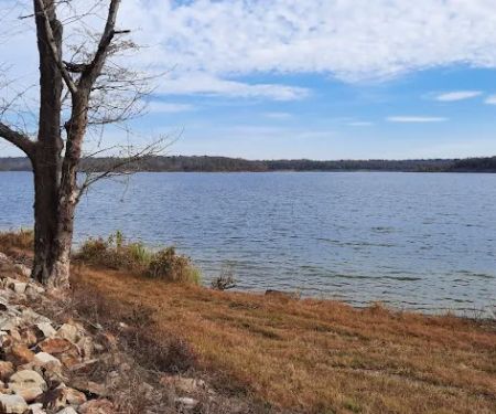 Bellah Mine Campground