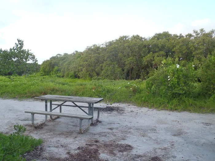 Little Rabbit Key Picture 2