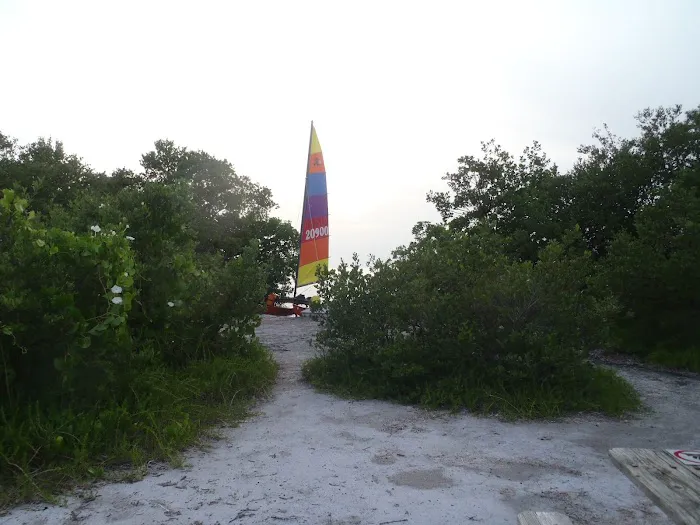 Little Rabbit Key Picture 3