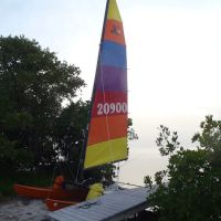 Little Rabbit Key ico