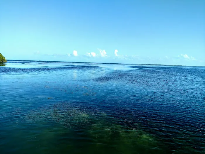 Little Rabbit Key Picture 8