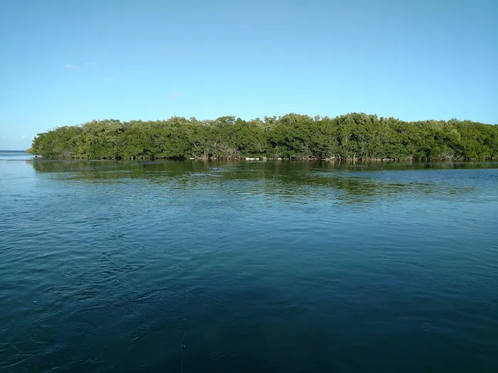 Little Rabbit Key Picture 7