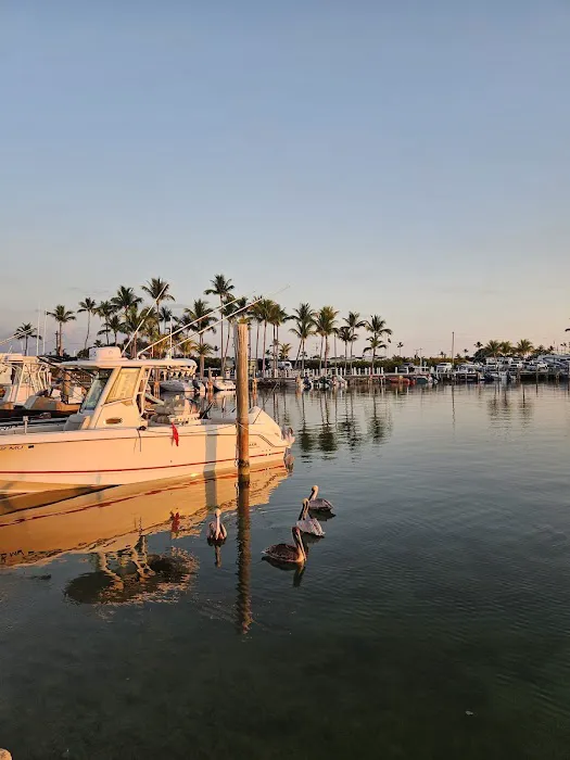 Fiesta Key RV Resort Picture 2