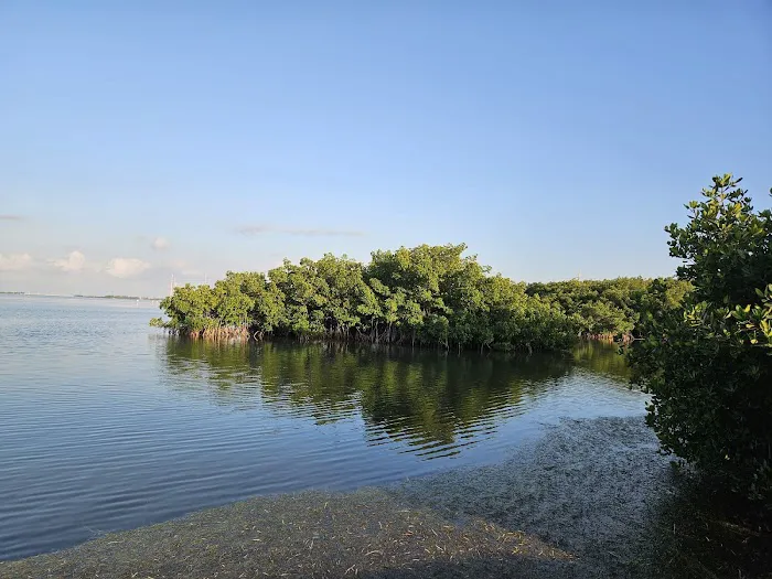 Fiesta Key RV Resort Picture 5