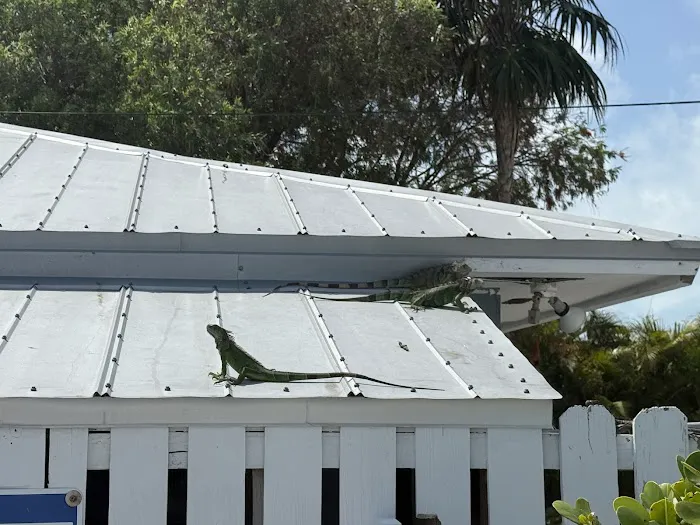 Fiesta Key RV Resort Picture 6