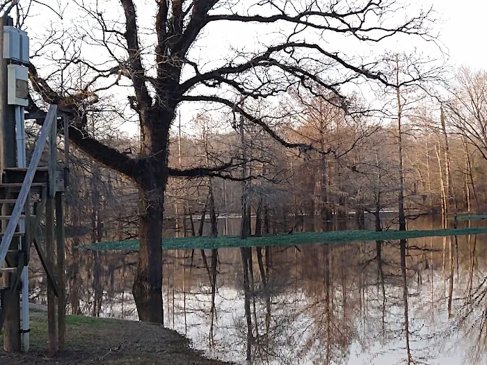 Low Head Dam Picture 7