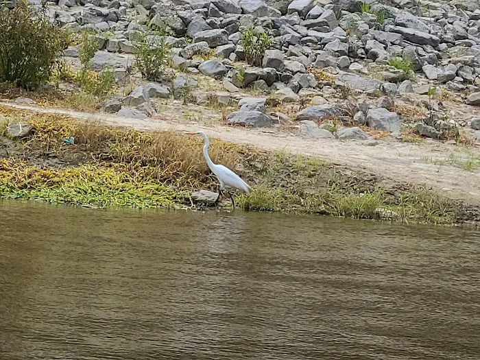 Low Head Dam Picture 8