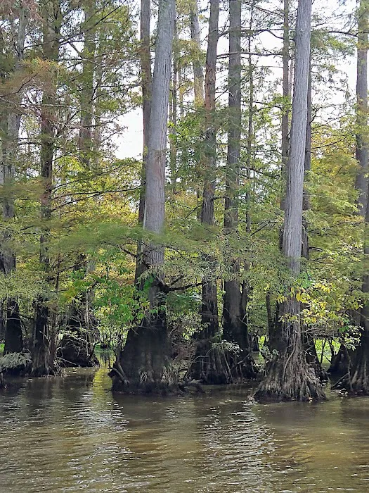 Low Head Dam Picture 10