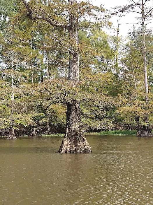 Low Head Dam Picture 9