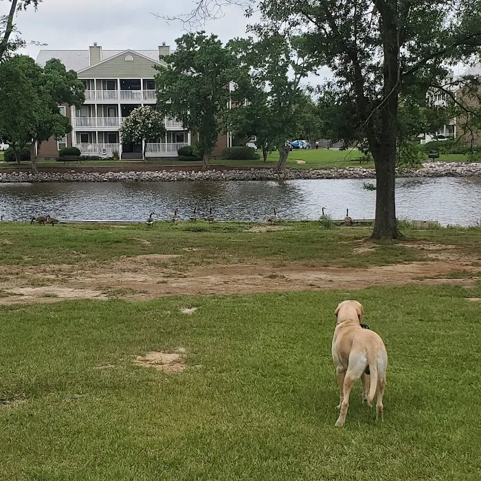Timberlake Campground Picture 10
