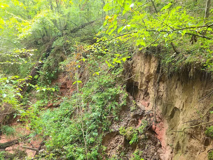 Tunica Hills Campground Picture 9