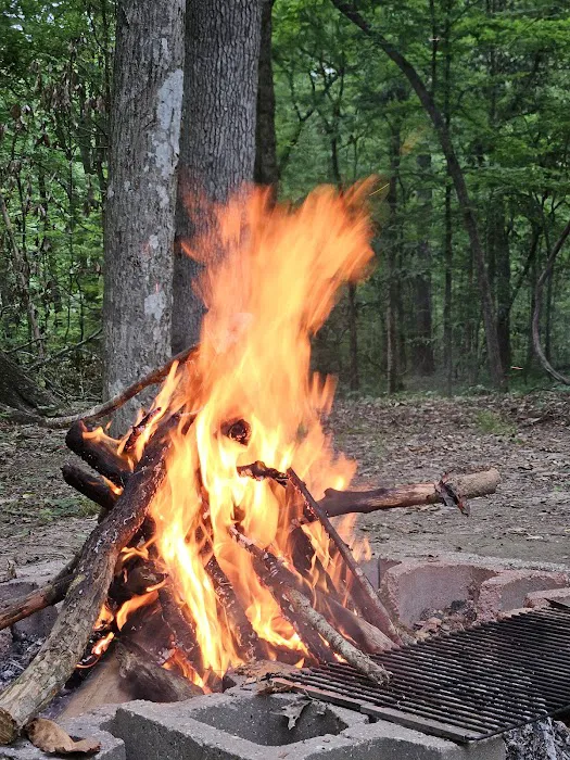 Tunica Hills Campground Picture 4