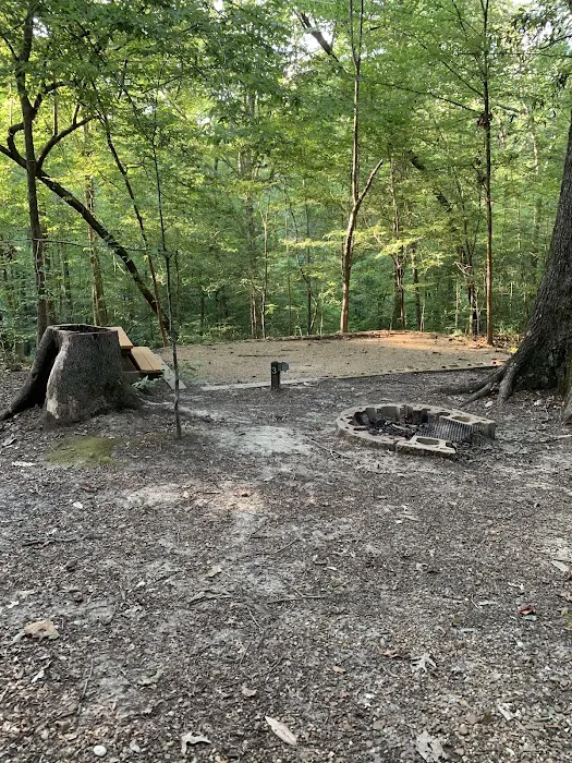 Tunica Hills Campground Picture 10