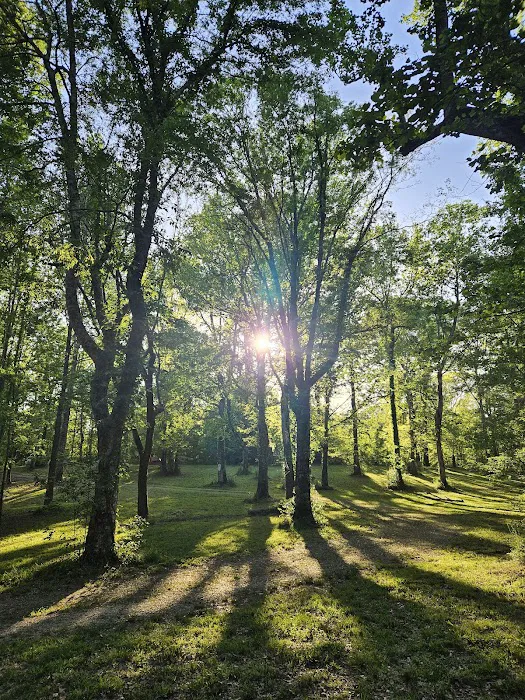 WMA Tent Campground Picture 1