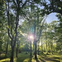 WMA Tent Campground ico