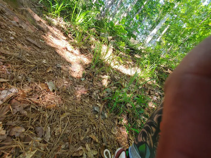 Clear Springs Campground Picture 2