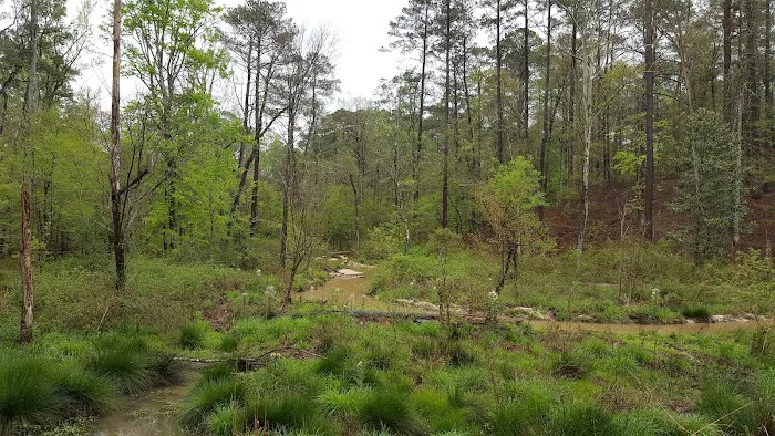 Clear Springs Campground Picture 3