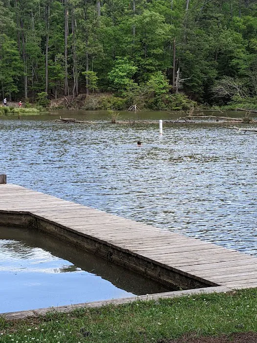 Clear Springs Campground Picture 5