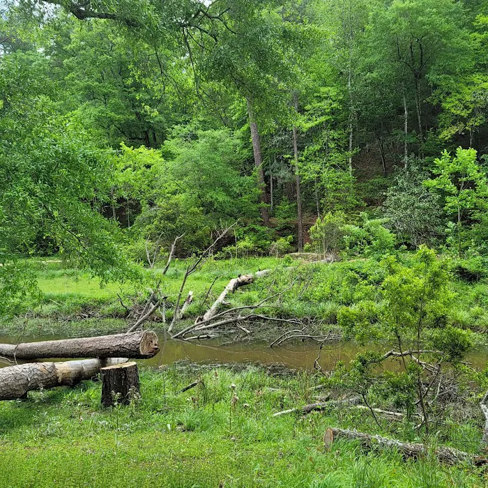 Clear Springs Campground Picture 4