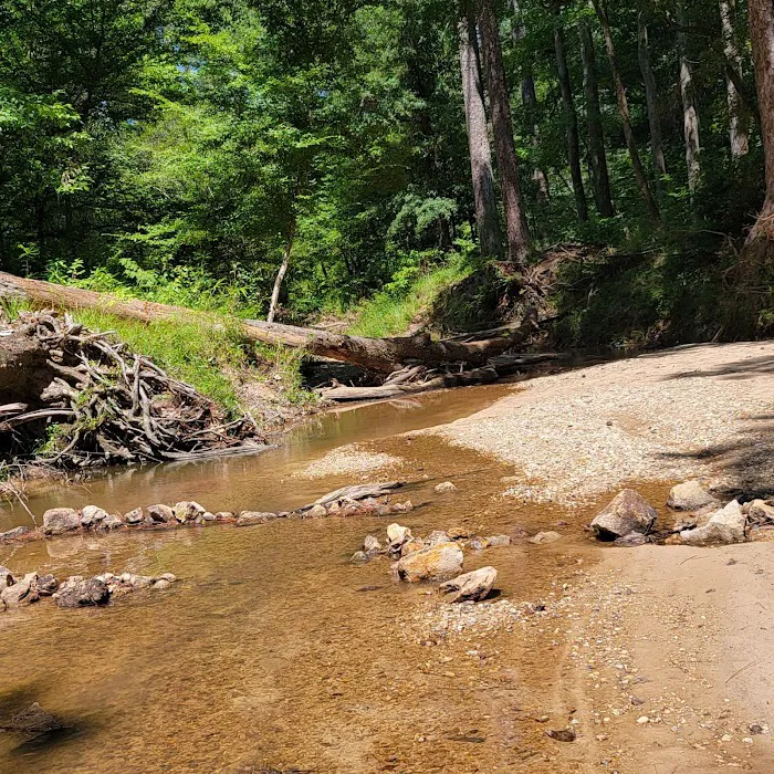 Clear Springs Campground Picture 10
