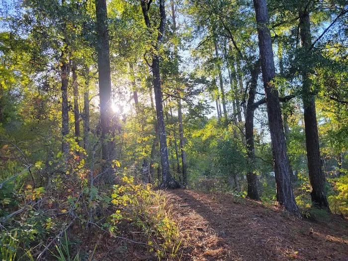 Clear Springs Campground Picture 6