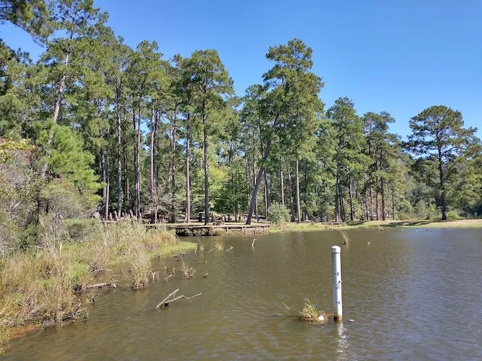 Clear Springs Campground Picture 8