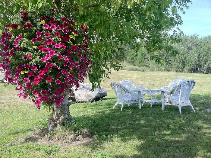 The Black Lantern Resort & Campground Picture 5