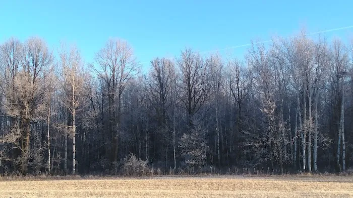 Little Elbow Lake Tribal Park/Campground Picture 8