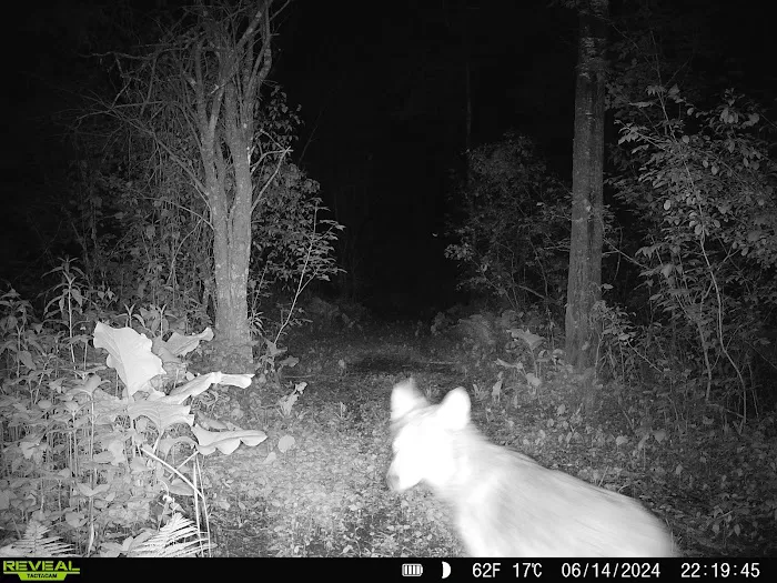 Little Elbow Lake Tribal Park/Campground Picture 2