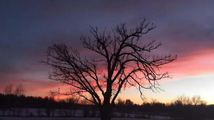 Little Elbow Lake Tribal Park/Campground Picture 7