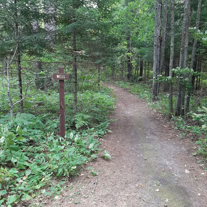 Webster Lake Campground Picture 7