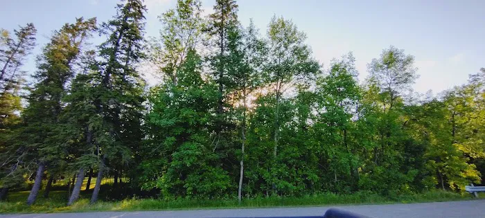 Towns Edge Trailer Court and Campground Picture 8