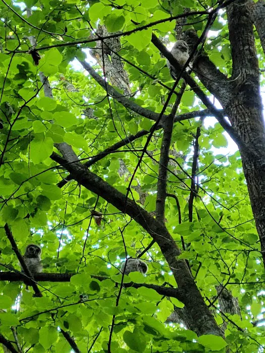 Towns Edge Trailer Court and Campground Picture 10