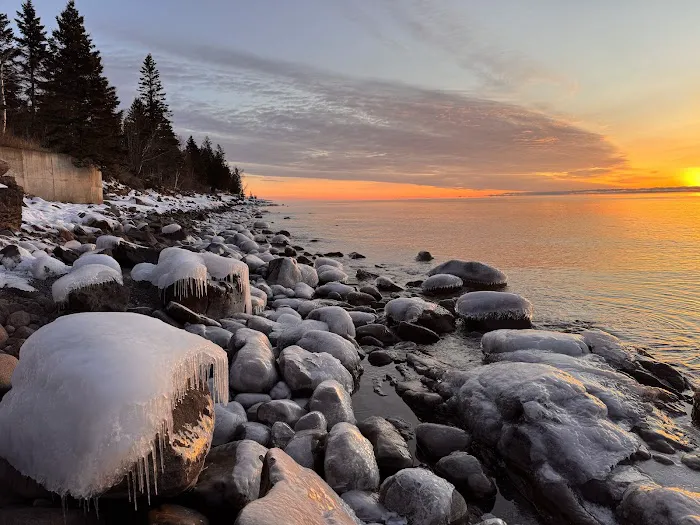 Cedar Allee Picture 4