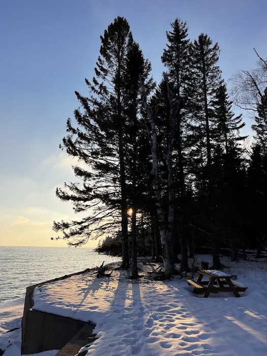 Cedar Allee Picture 5