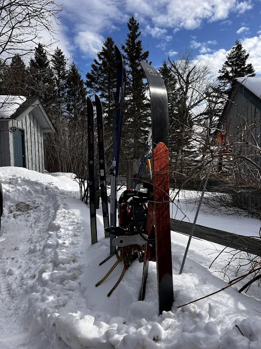 Cedar Allee Picture 10