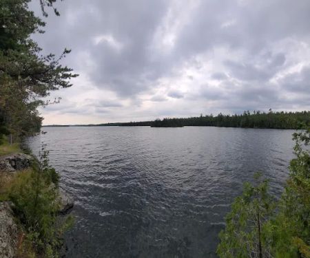 Robbins Island Campsite
