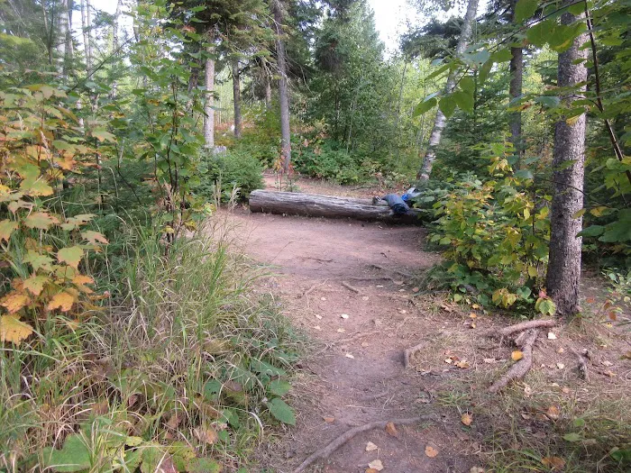 Big White Pine Camp Picture 5