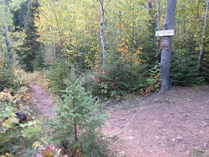 Big White Pine Camp Picture 1